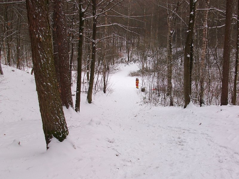 Crosslauf Bergedorf 054